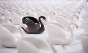 black swan fooled by randomness